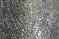 Wymans Brook fibreglass roof work